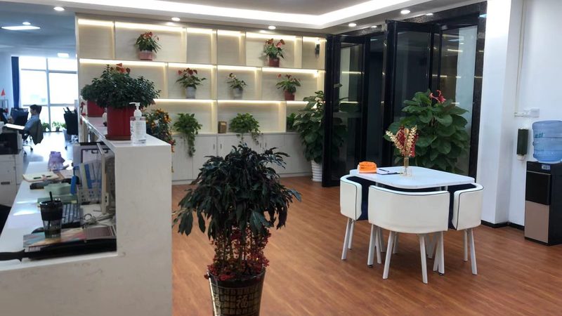 IPO财务顾问服务：揭秘企业上市路上的专业护航者